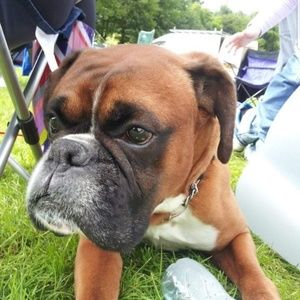 Meet your Posher, Jackie